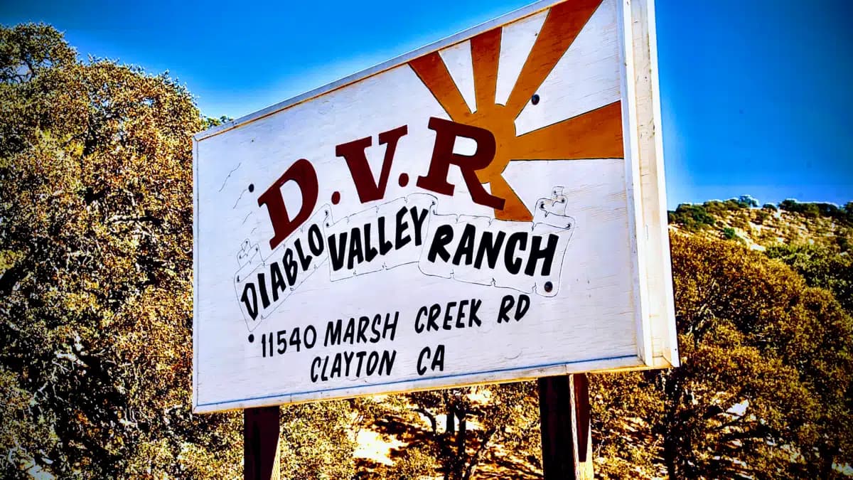 Bi Bett Corp - Hero Image