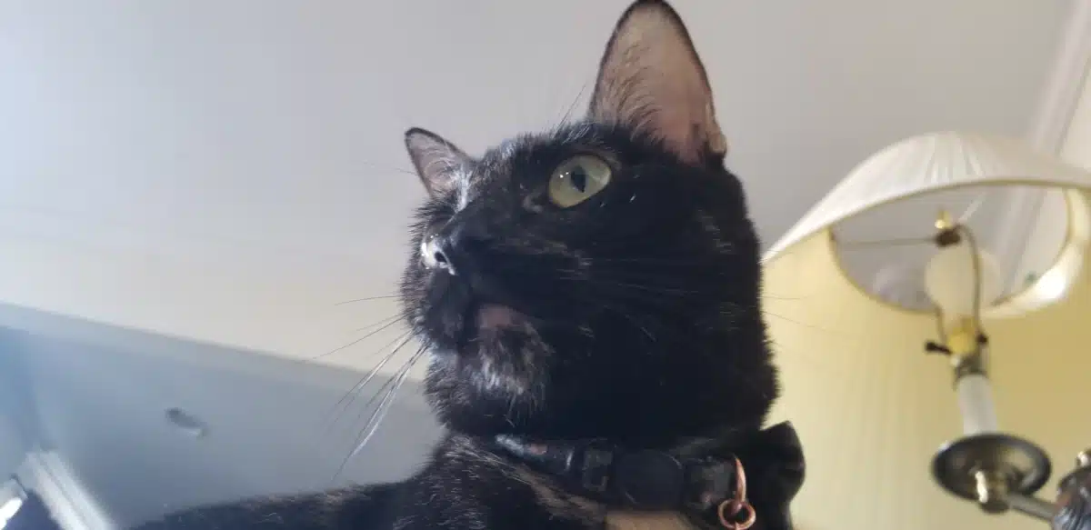 Clear Detox Center - Hero Image