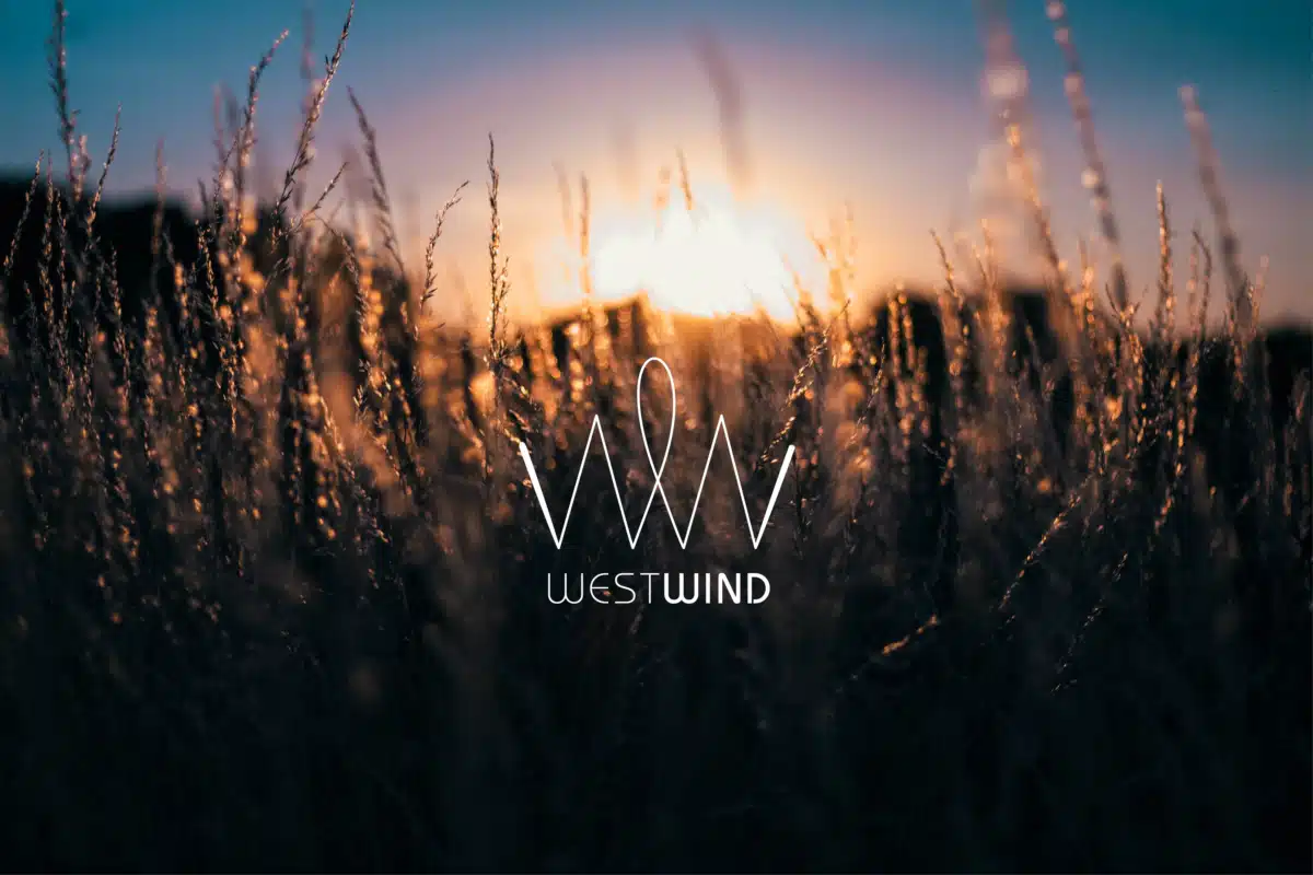 Westwind Recovery - Hero Image